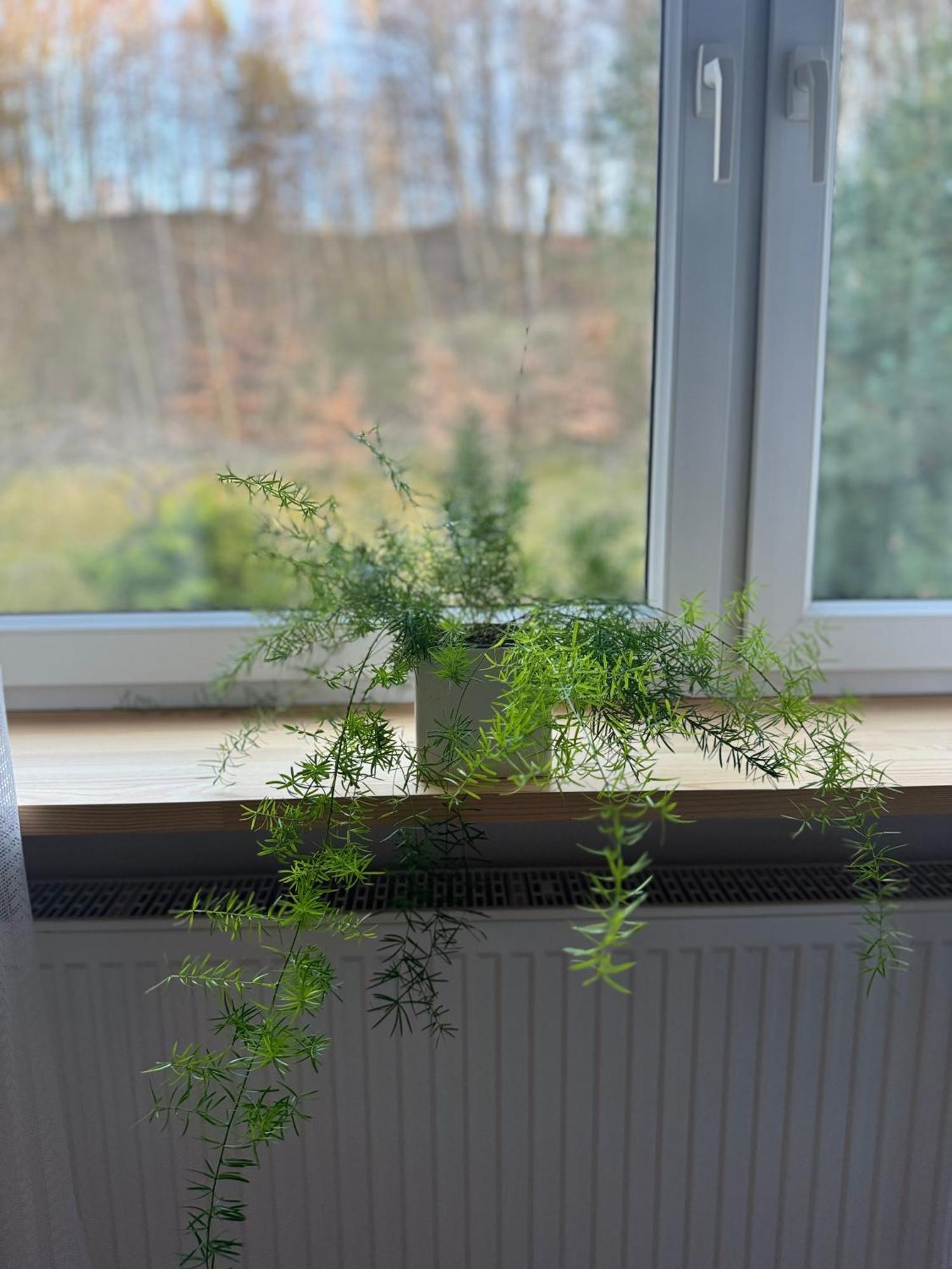 Apartament W Kamienicy Gdynia Dış mekan fotoğraf